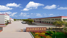 山東泰山恒信開關集團有限公司